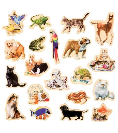 TS SHURE 20PC MAGNAFUN WOODEN MAGNETIC FAVORITE PETS