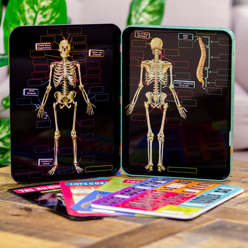 HUMAN SKELETON ED MAGNETIC TIN